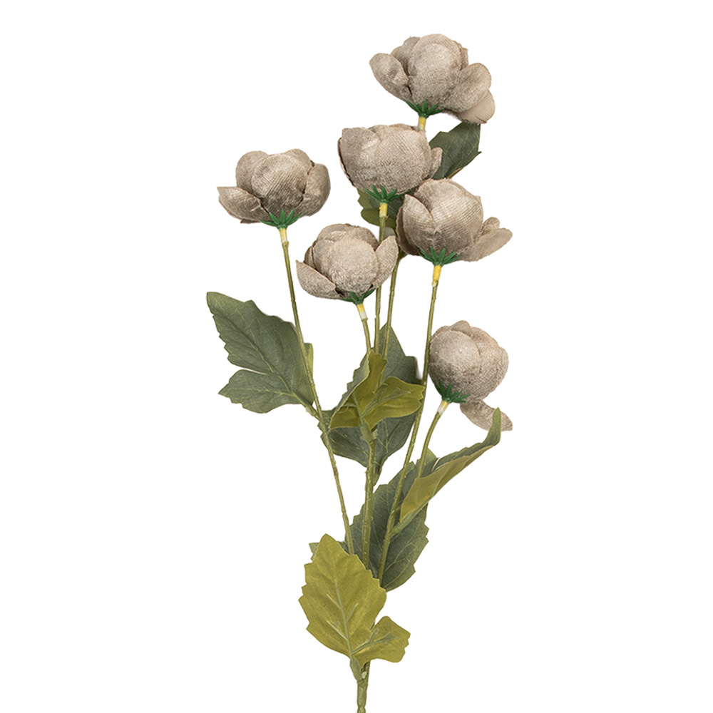6PL0409G_01.jpg