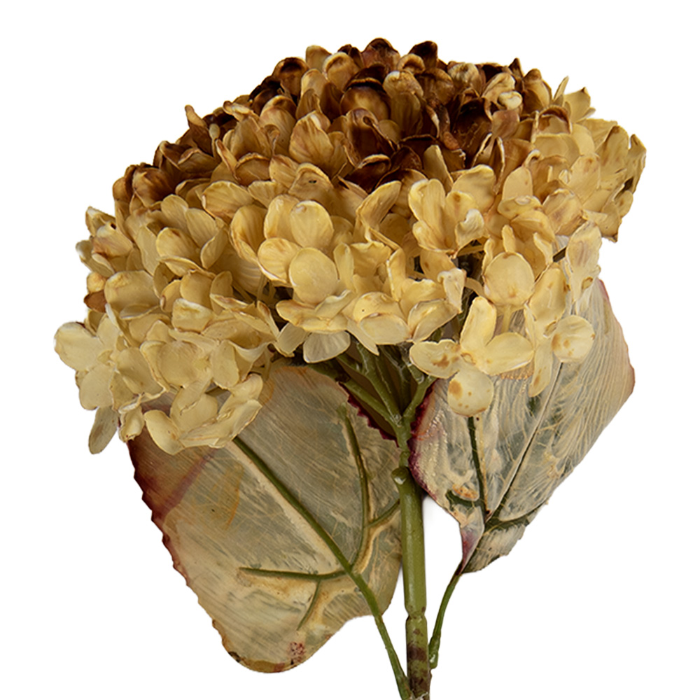 6PL0404CR_01.jpg