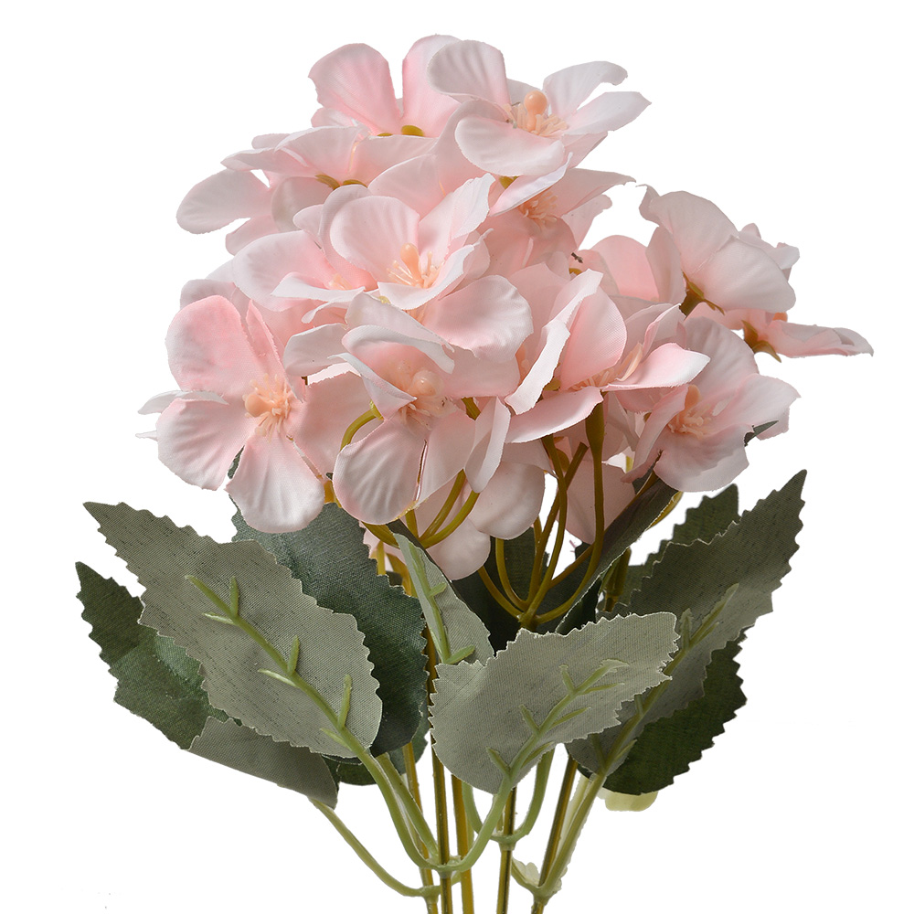 6PL0364LP_01.jpg