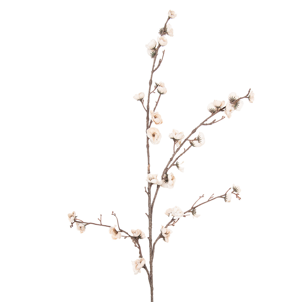 5PL0254BE_01.jpg