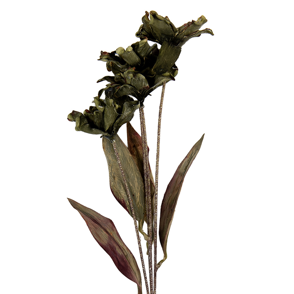 6PL0403GR_01.jpg