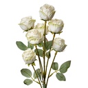 6PL0391W_01.jpg
