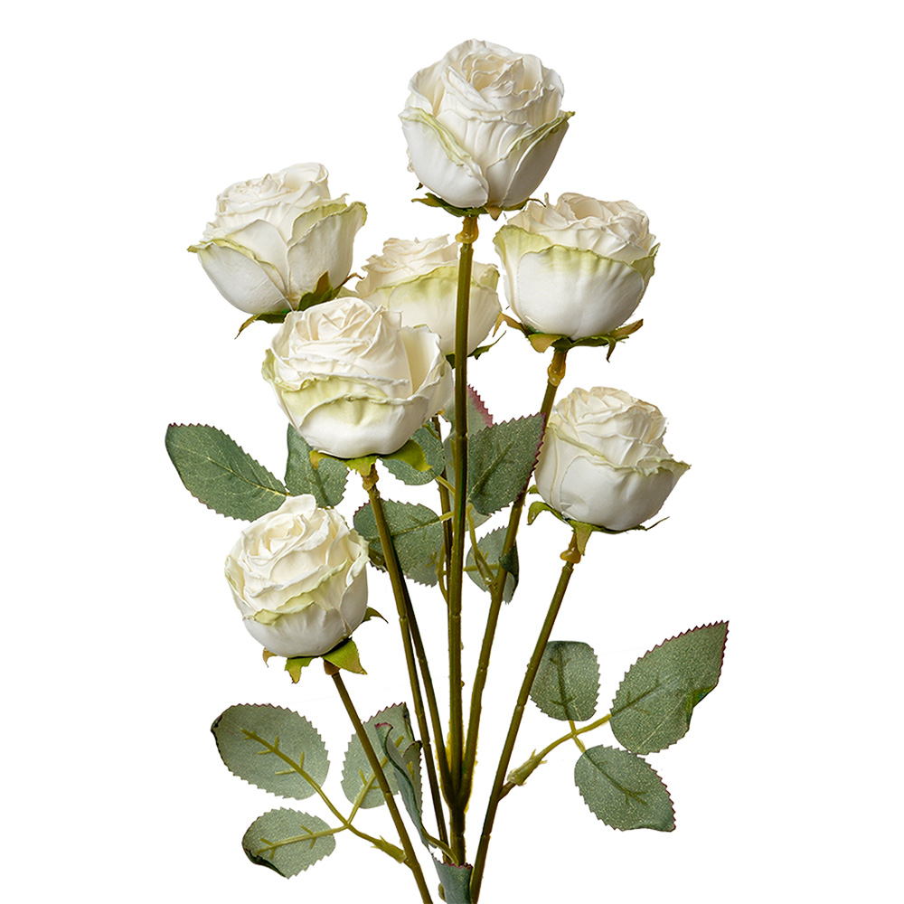 6PL0391W_01.jpg