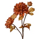 6PL0387CH_01.jpg