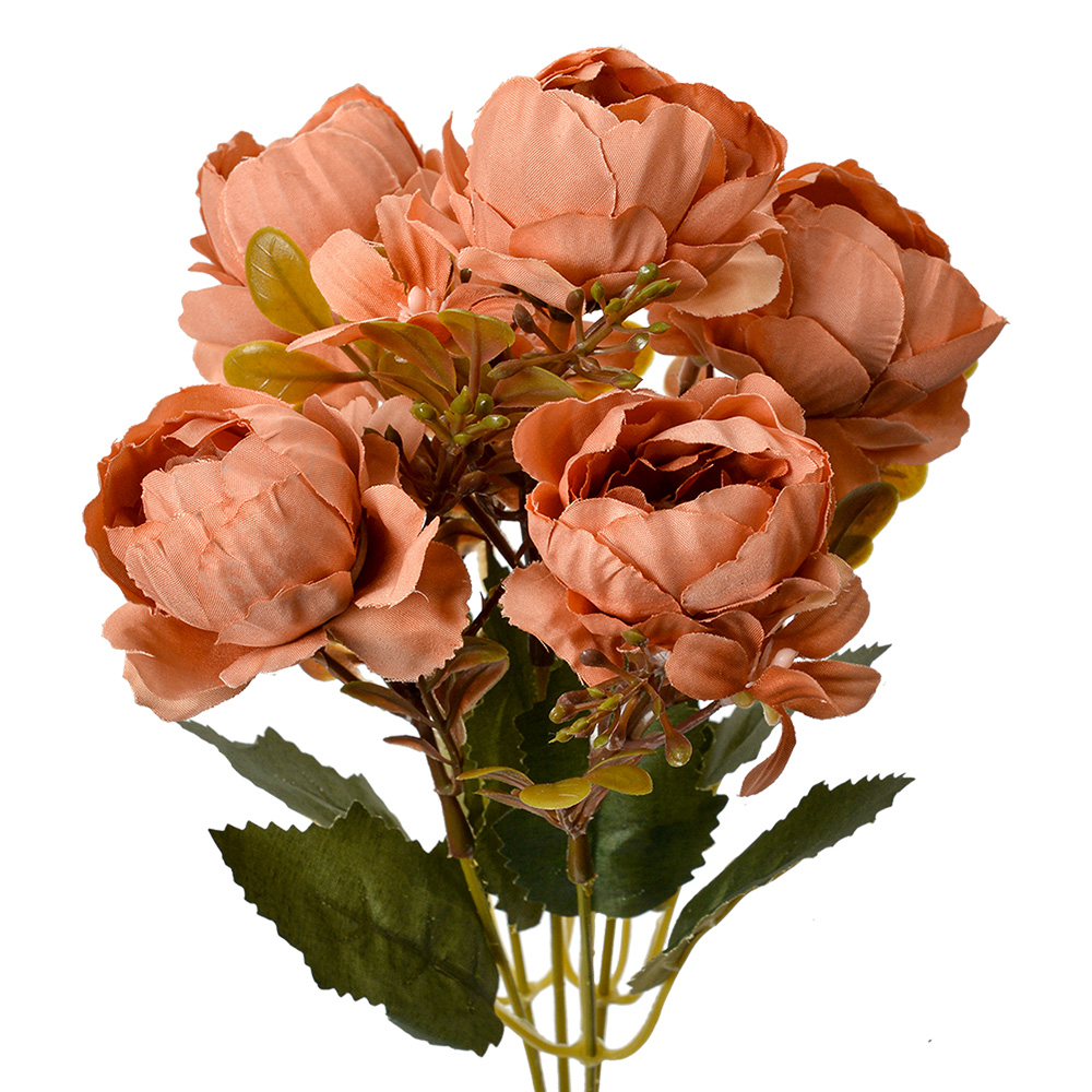 6PL0381O_01.jpg