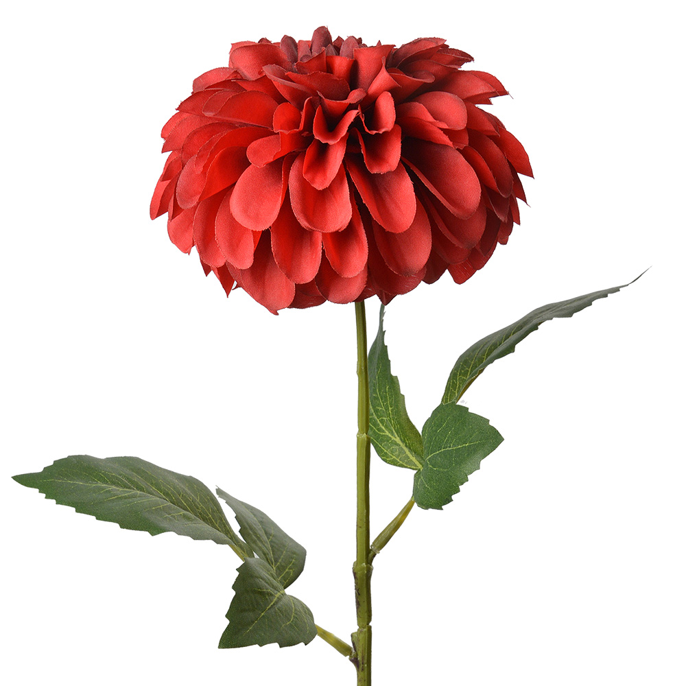 6PL0353R_01.jpg