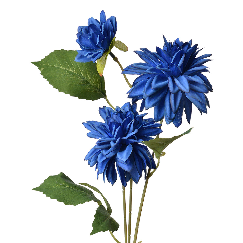 5PL0130BL_01.jpg