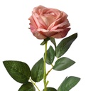 6PL0360_01.jpg