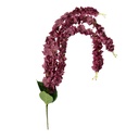 6PL0388PA_02.jpg