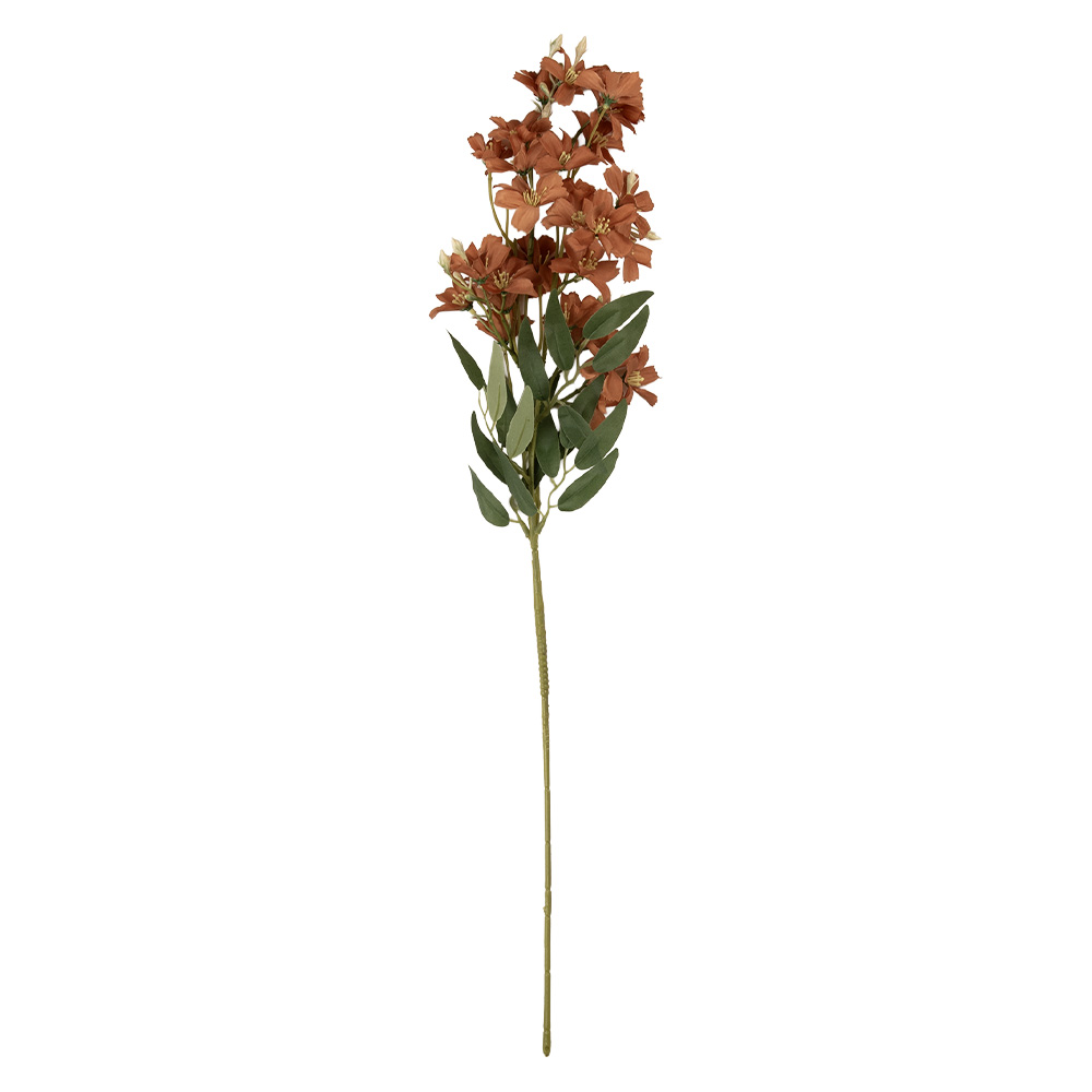 5PL0191CH_02.jpg