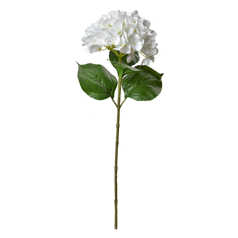 5PL0137W_02.jpg