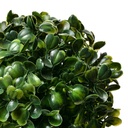 6PL0325XS_02.jpg