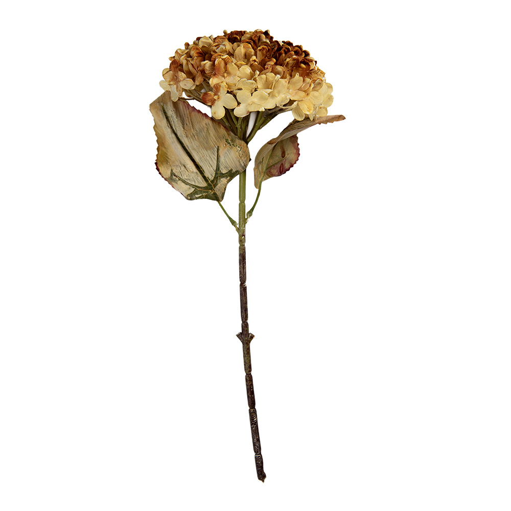 6PL0404Y_02.jpg