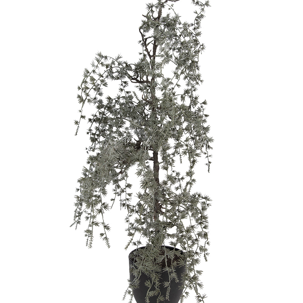 50847_02.jpg