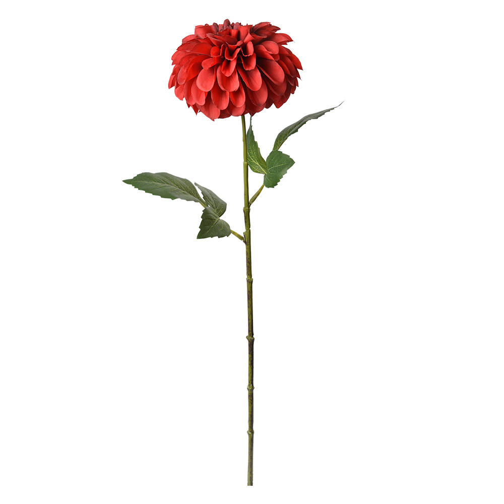 6PL0353R_02.jpg