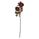 5PL0241BU_02.jpg