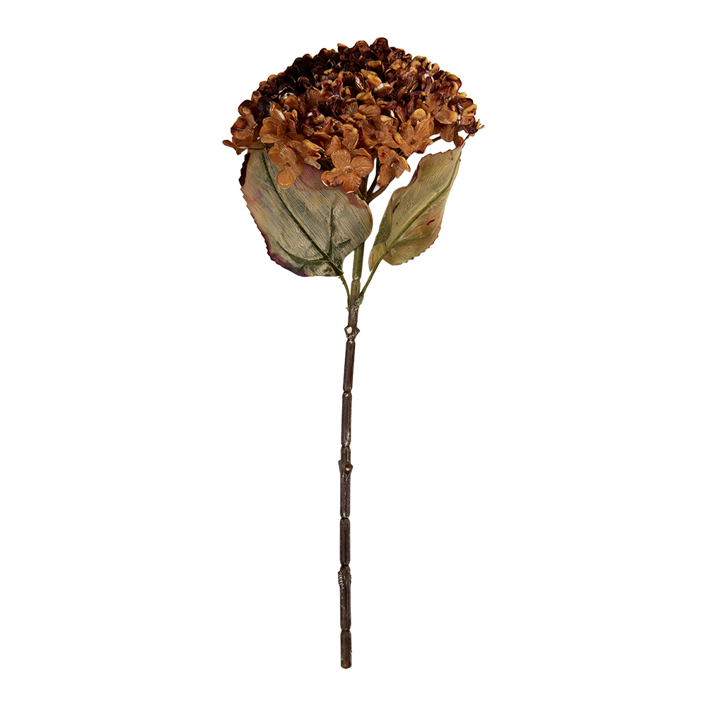 6PL0404R_02.jpg