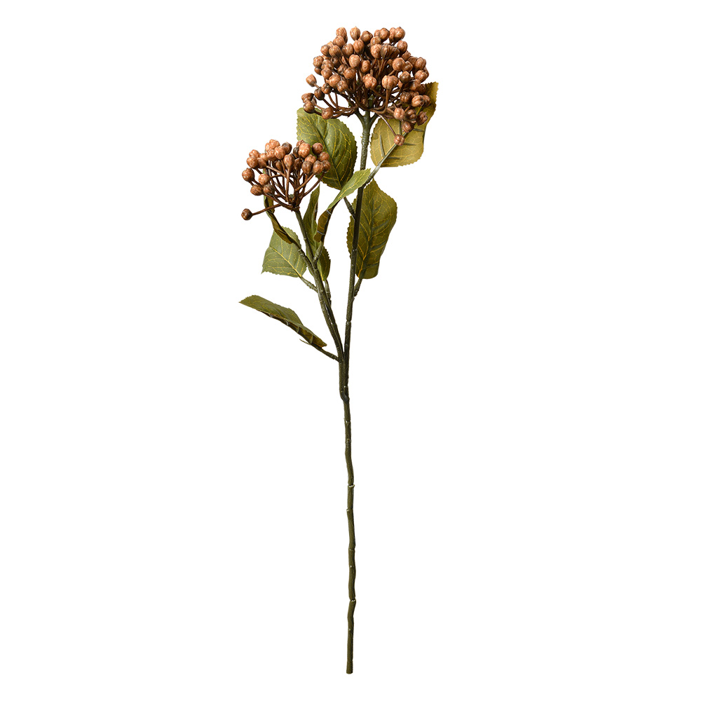 6PL0386BE_02.jpg
