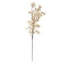 5PL0136BE_02.jpg