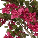 5PL0225_03.jpg