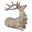 6PR4287_03.jpg