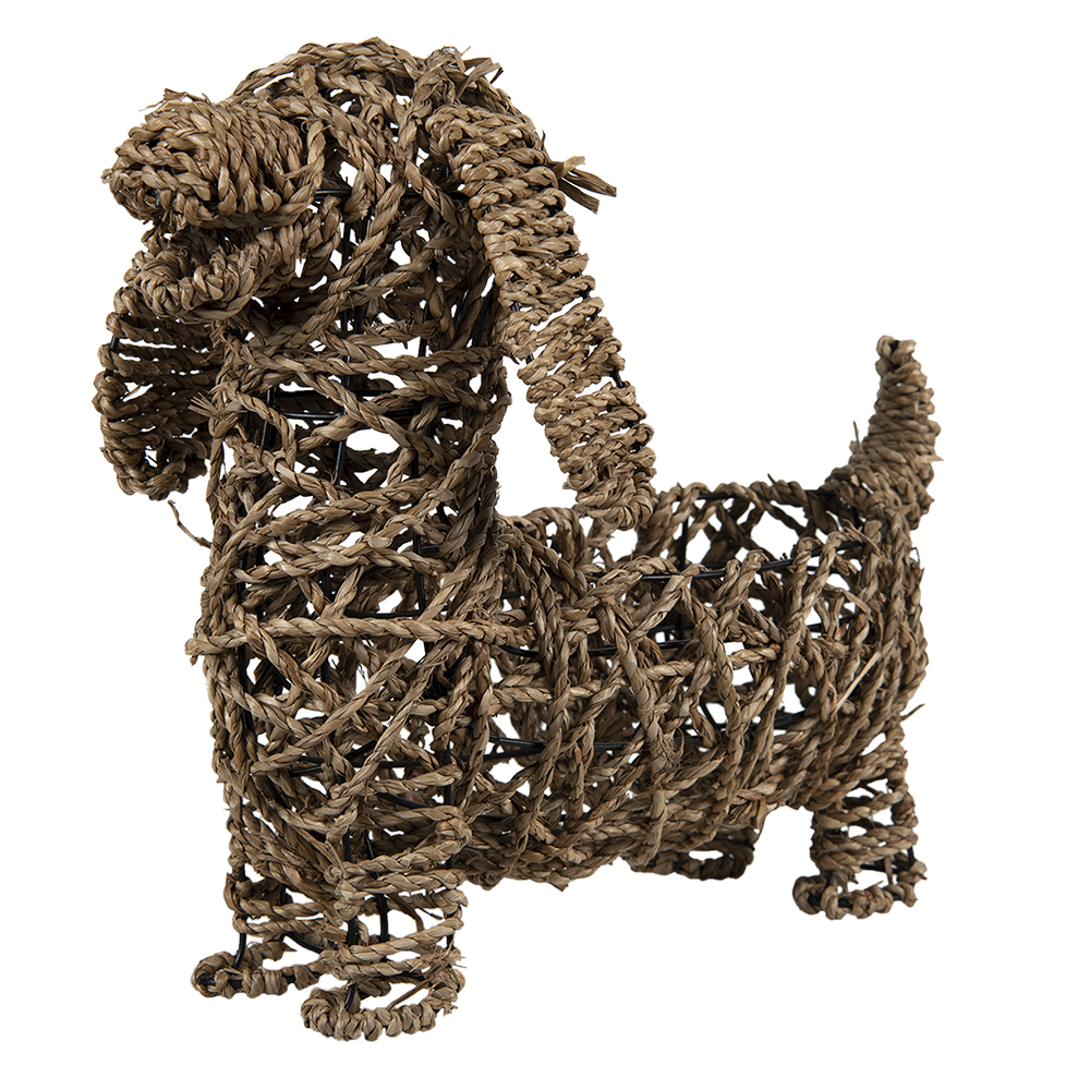 6RO0546_03.jpg
