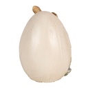 6PR5006_03.jpg