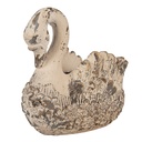 6MG0164_02.jpg