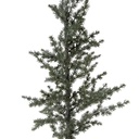 50836_03.jpg