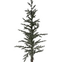 50835_03.jpg