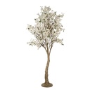 5PL0146_02.jpg