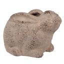 6CE1622_03.jpg