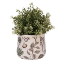 6CETKG0001S_02.jpg