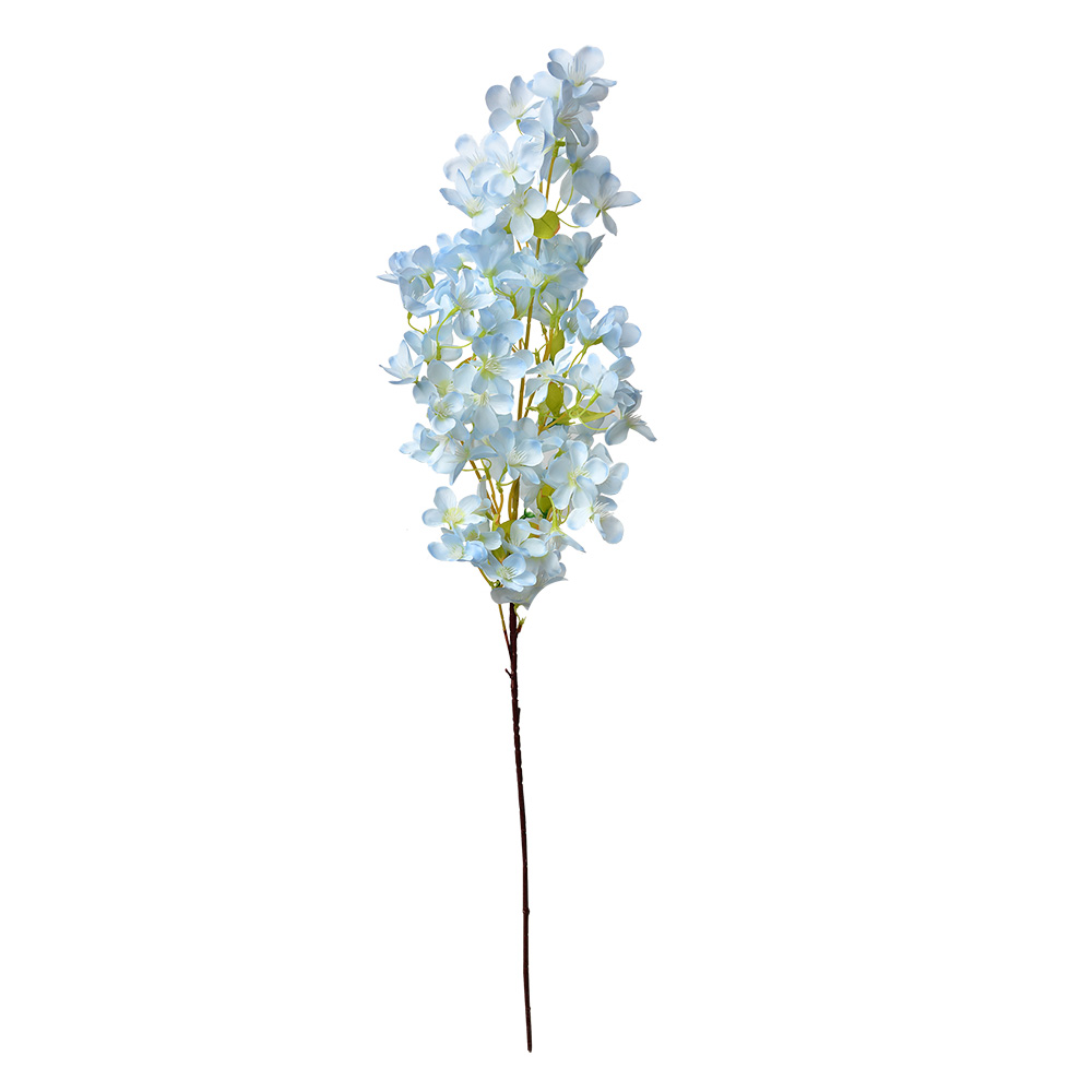 5PL0117BL_02.jpg