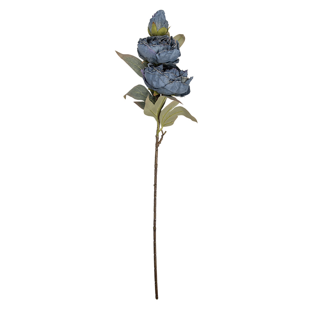 5PL0242BL_02.jpg