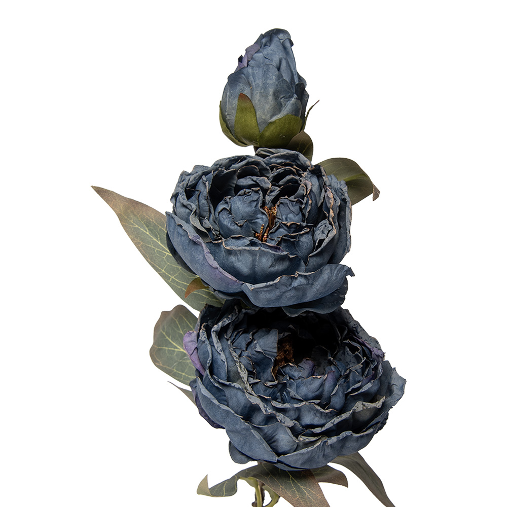 5PL0242BL_03.jpg