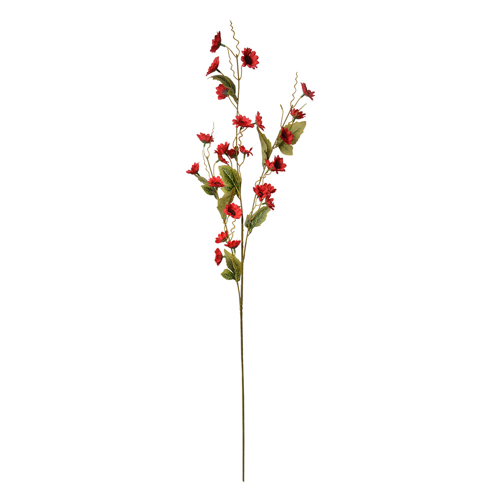 5PL0134BU_02.jpg