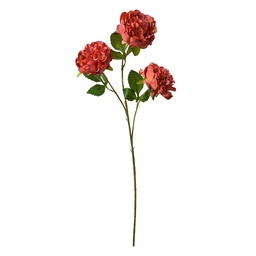 5PL0166O_02.jpg