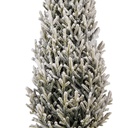 50850_02.jpg