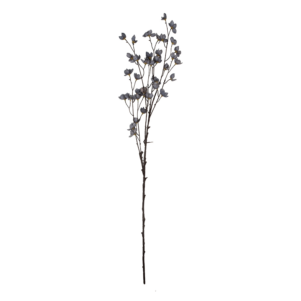 5PL0202BL_02.jpg