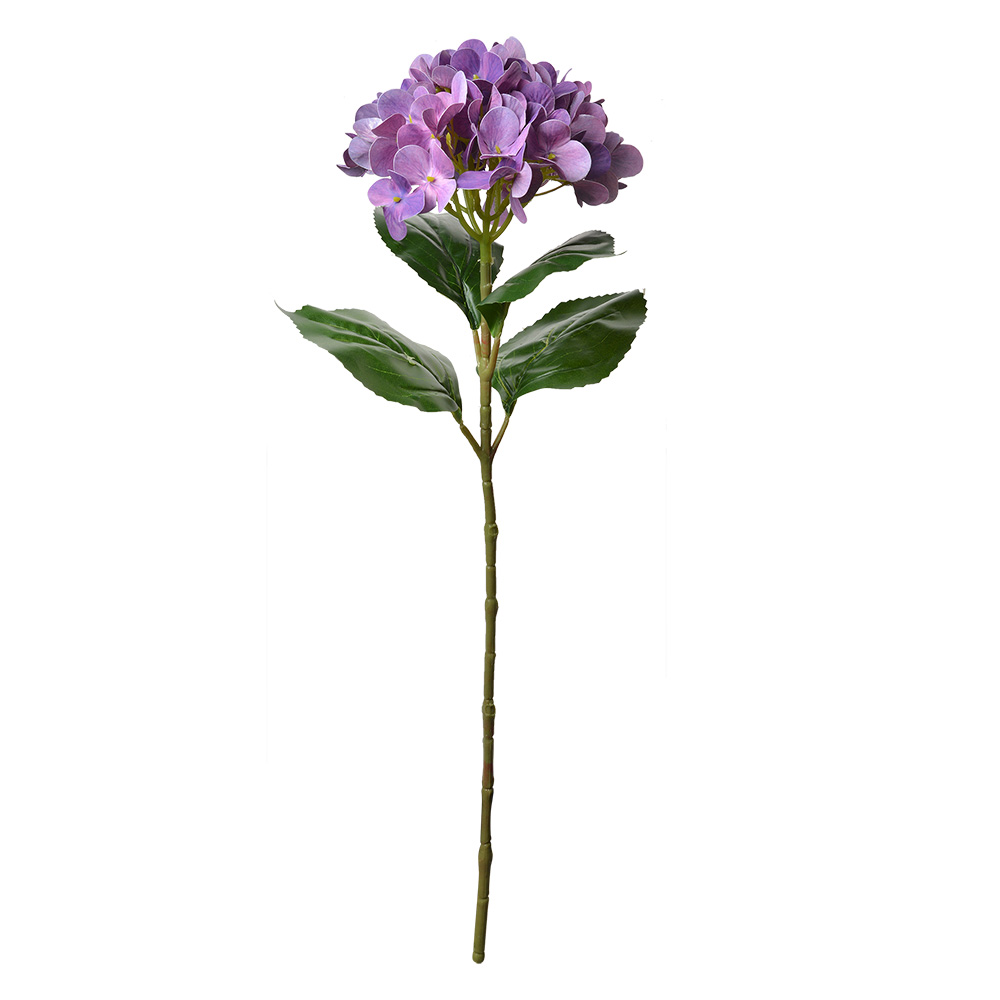 5PL0137PA_02.jpg