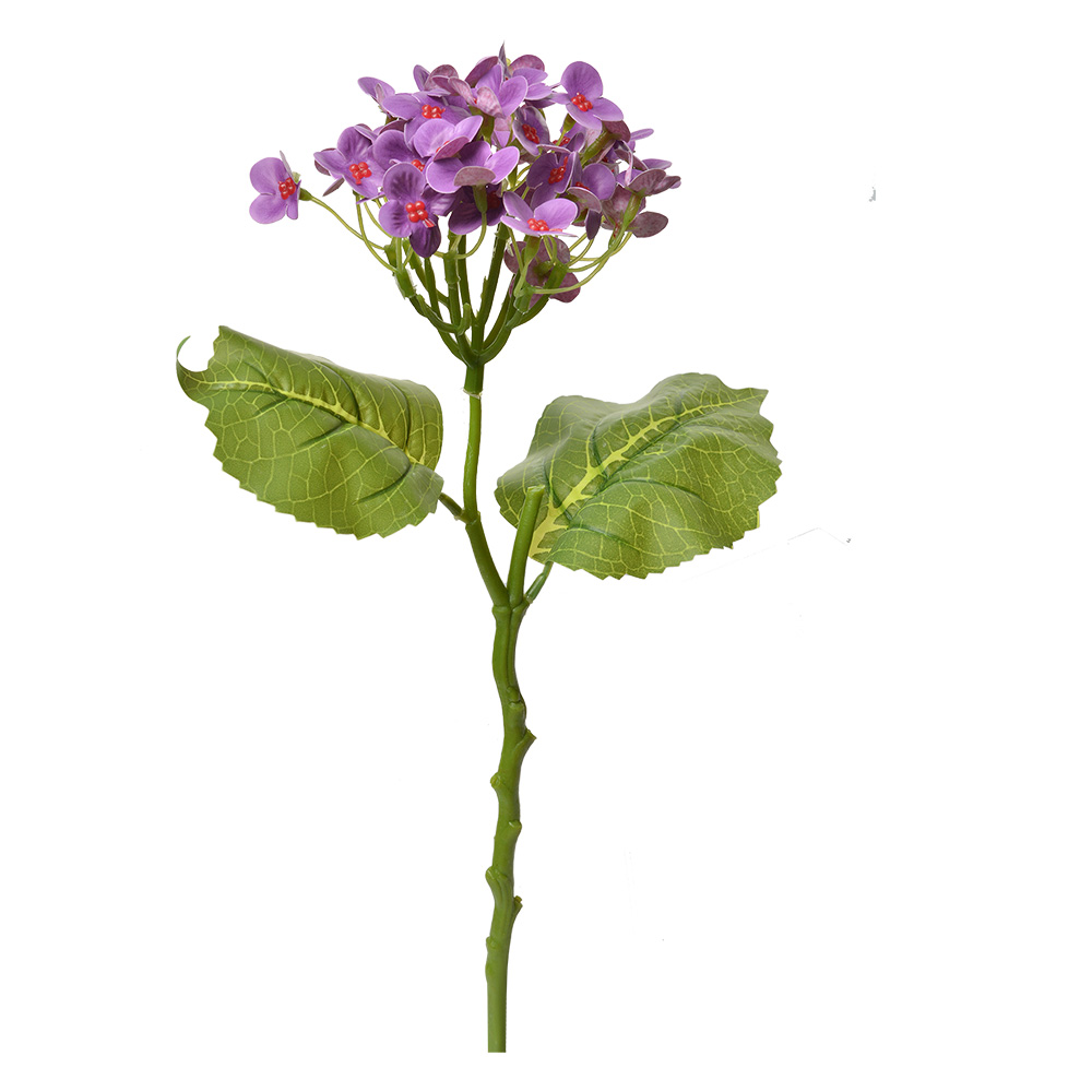 6PL0365PA_02.jpg
