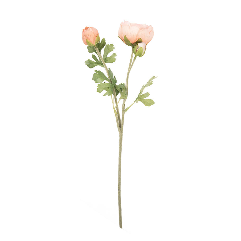 5PL0234O_02.jpg