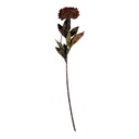 6PL0405BU_02.jpg