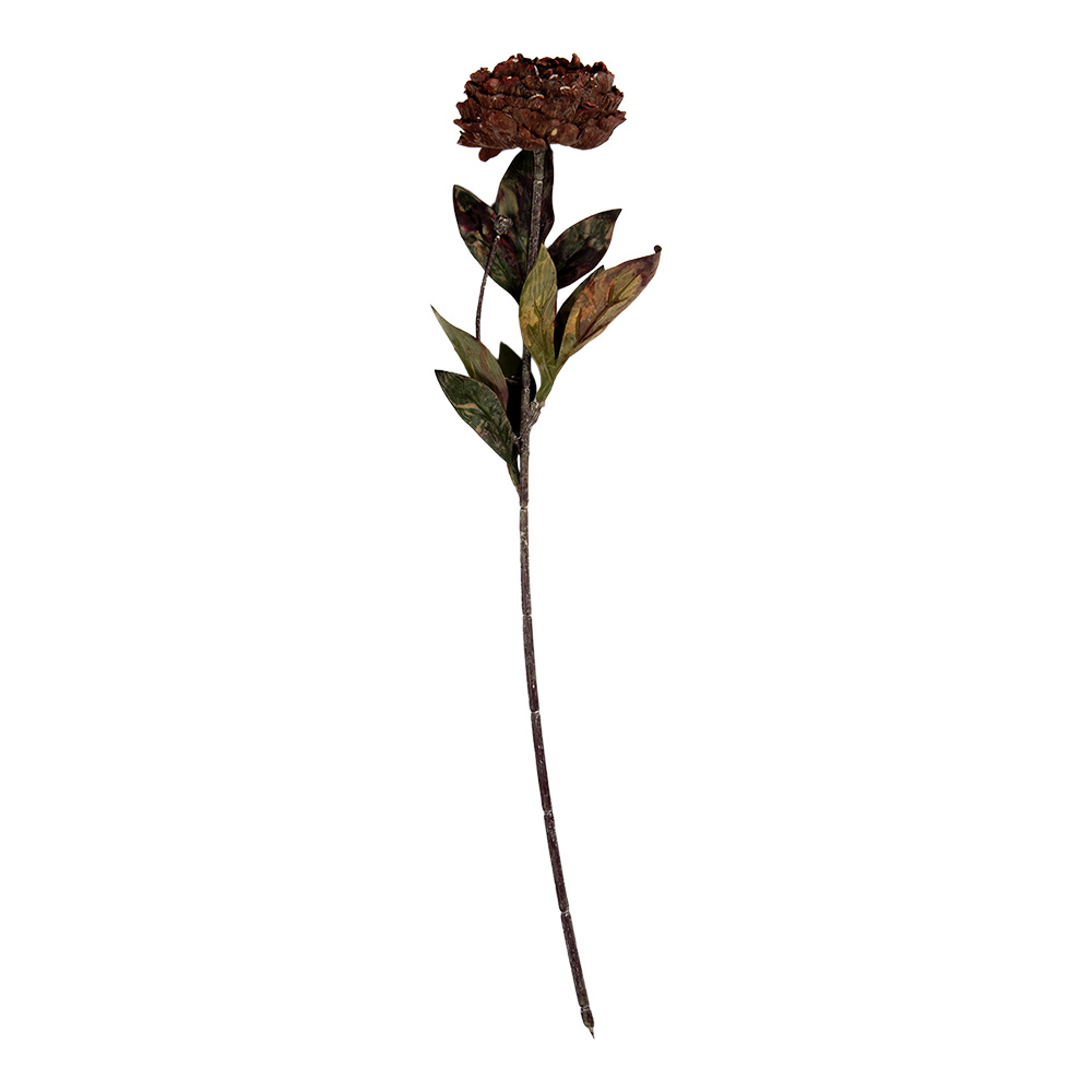 6PL0405BU_02.jpg