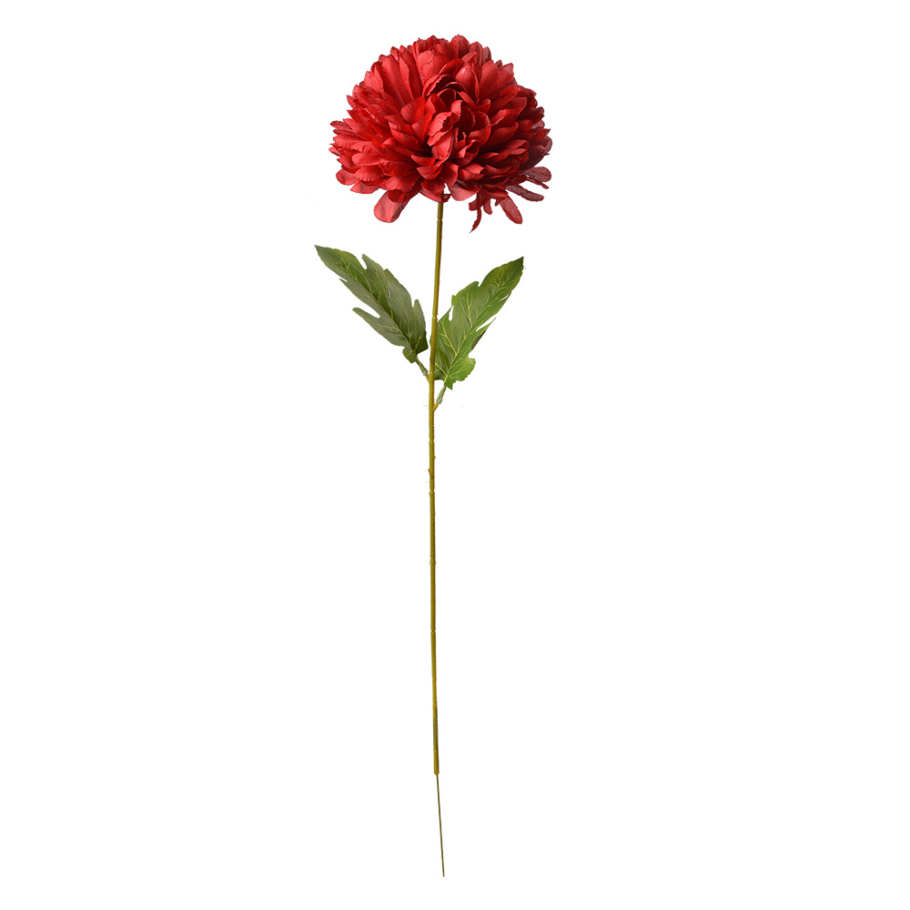 5PL0133R_02.jpg