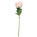 5PL0236BE_02.jpg