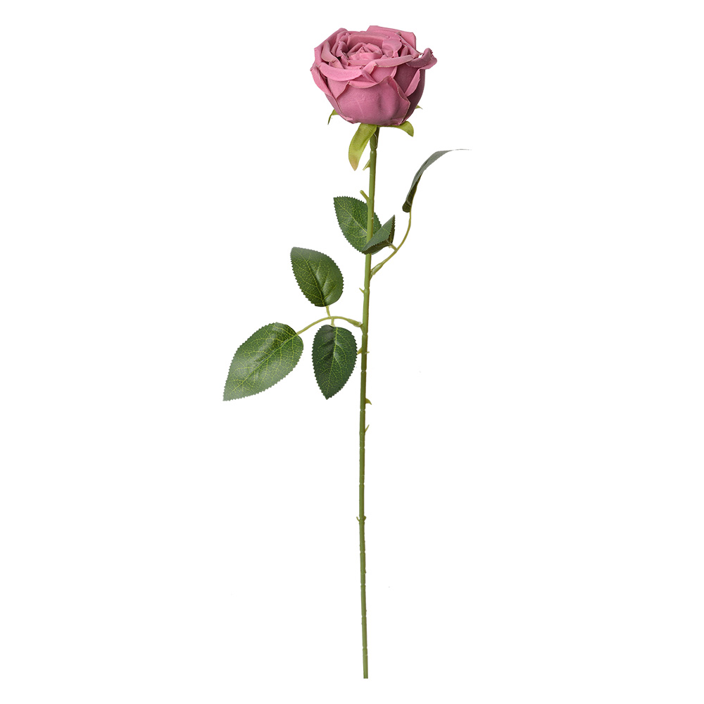 6PL0369DP_02.jpg