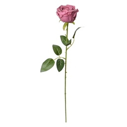 6PL0369DP_02.jpg