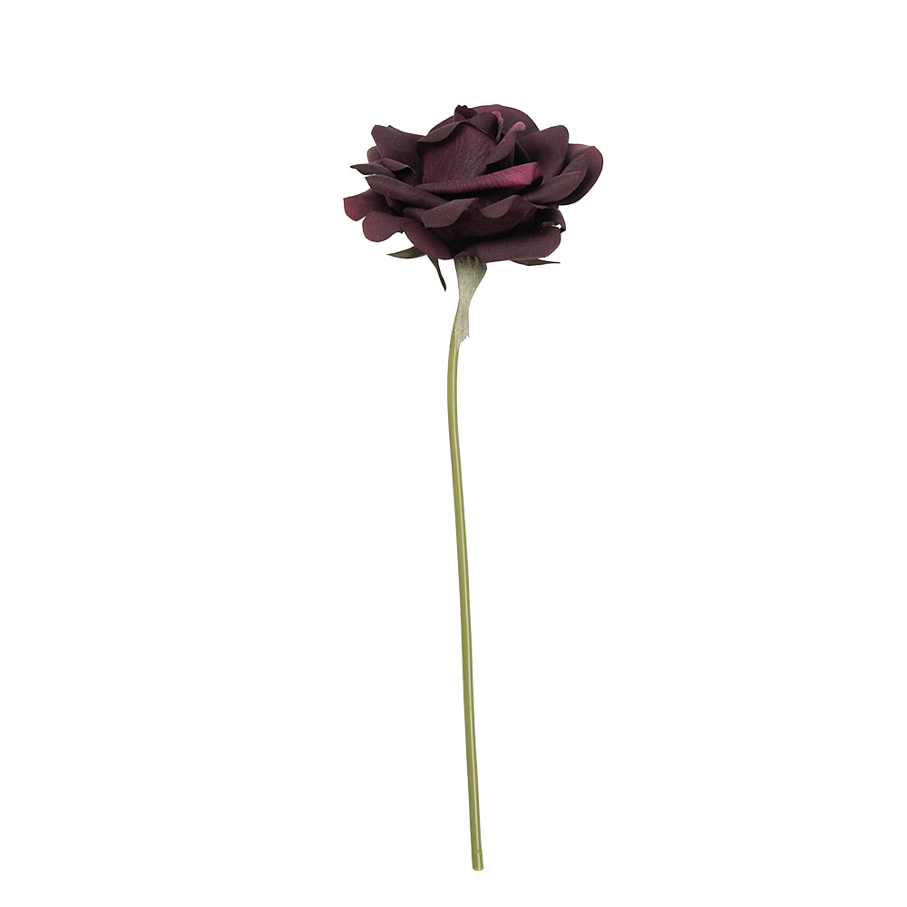 5PL0235PA_02.jpg